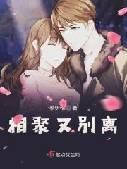 相聚又别离的年纪是什么歌