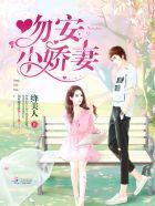 吻安小逃妻腹黑冷少强势