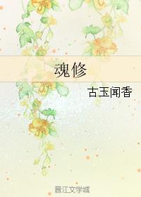 魂修设定