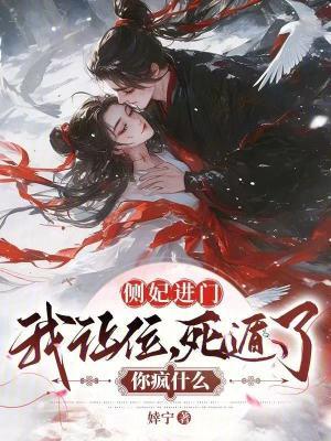 侧妃进门我让位死遁了你疯什么婞宁