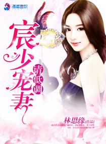 独家婚宠宸少追捕小逃妻