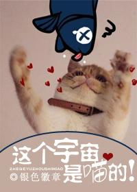 这就是宇宙吗这本书的作者是谁