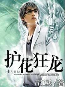 护花狂龙易军有几个红颜