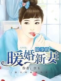 陆少的暖婚新妻3