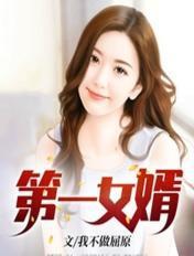 第一女婿陈风叶青青免费
