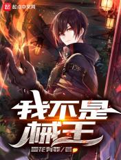 我不是械王TXT精校版