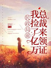 在民政局捡了个首富老婆