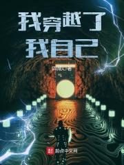 我穿越了我自己txt